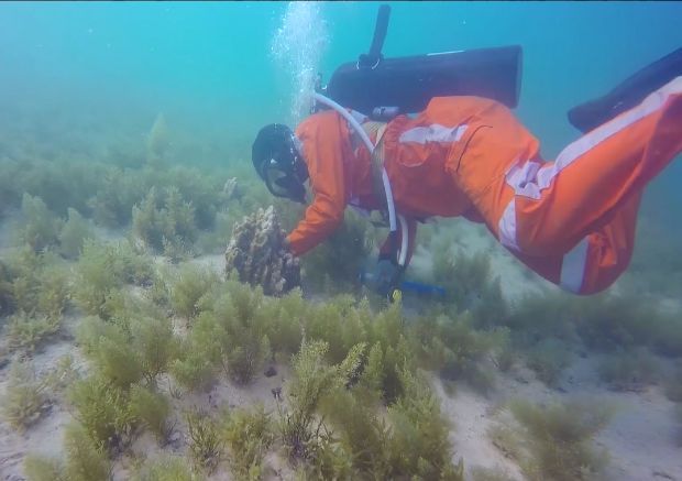 全网担保网(中国游)最具权威唯一维权担保平台