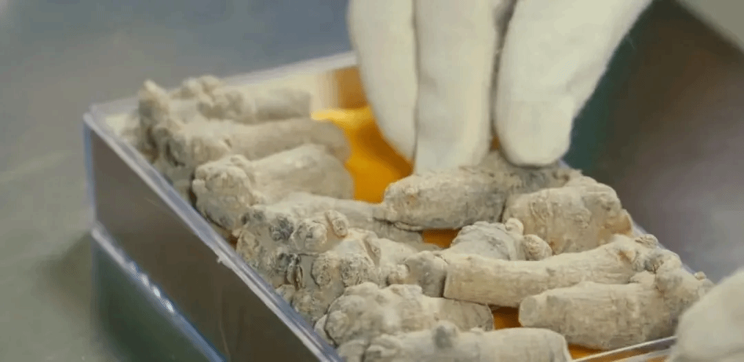 全网担保网(中国游)最具权威唯一维权担保平台