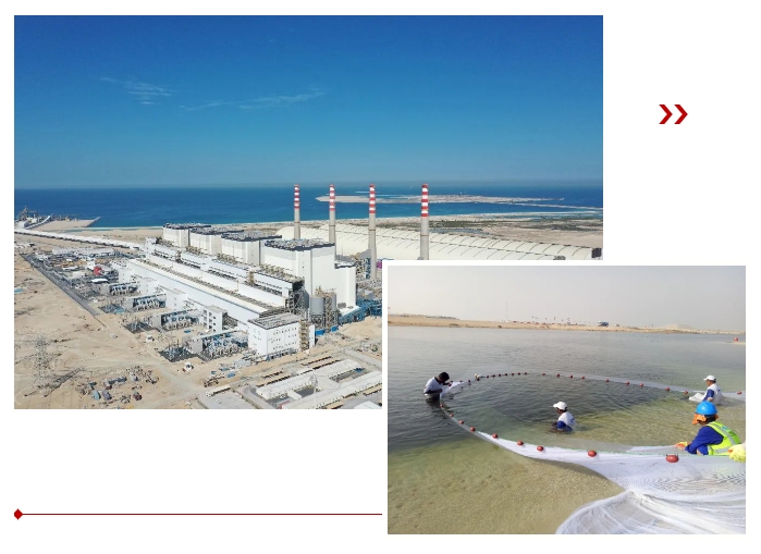 全网担保网(中国游)最具权威唯一维权担保平台