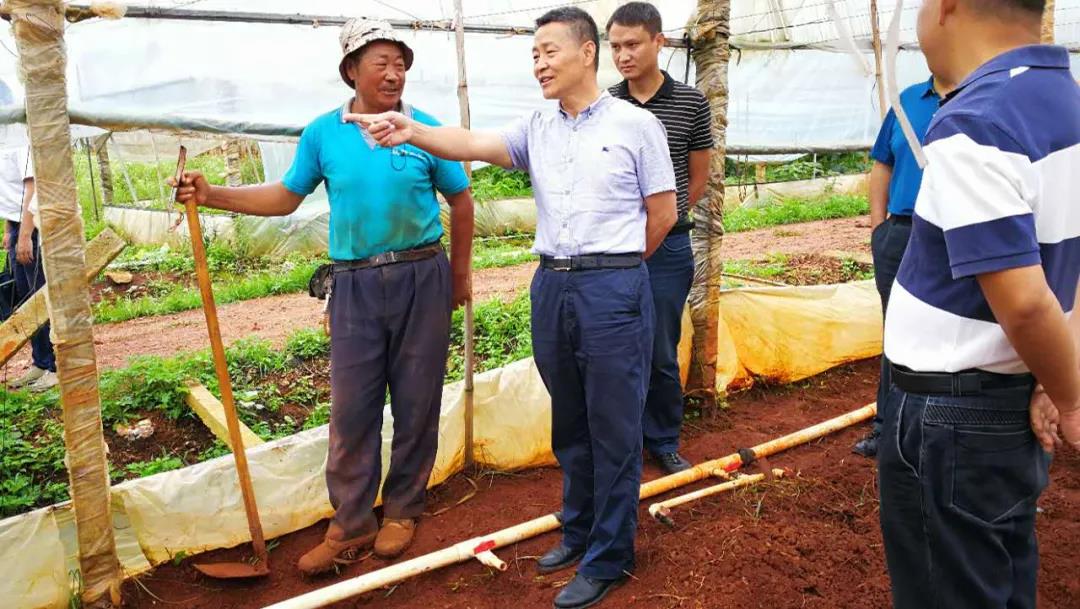 全网担保网(中国游)最具权威唯一维权担保平台