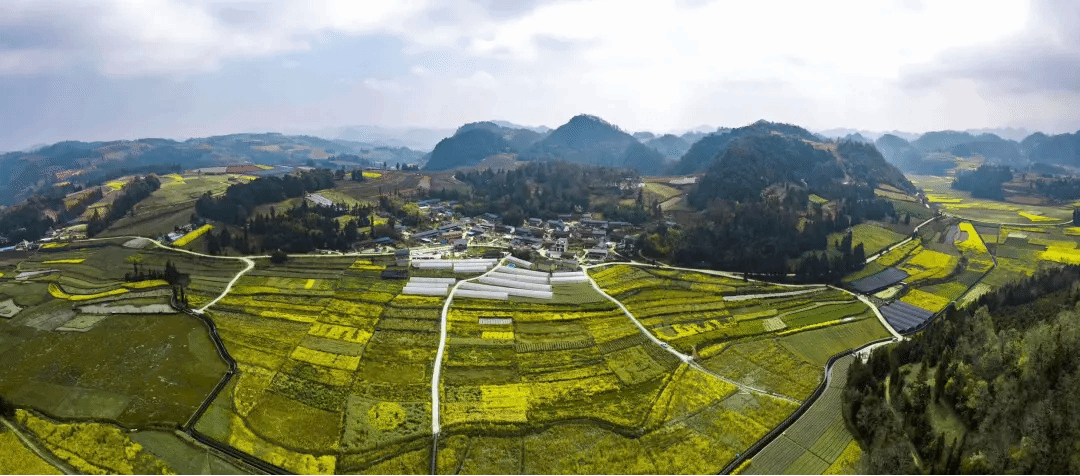 全网担保网(中国游)最具权威唯一维权担保平台