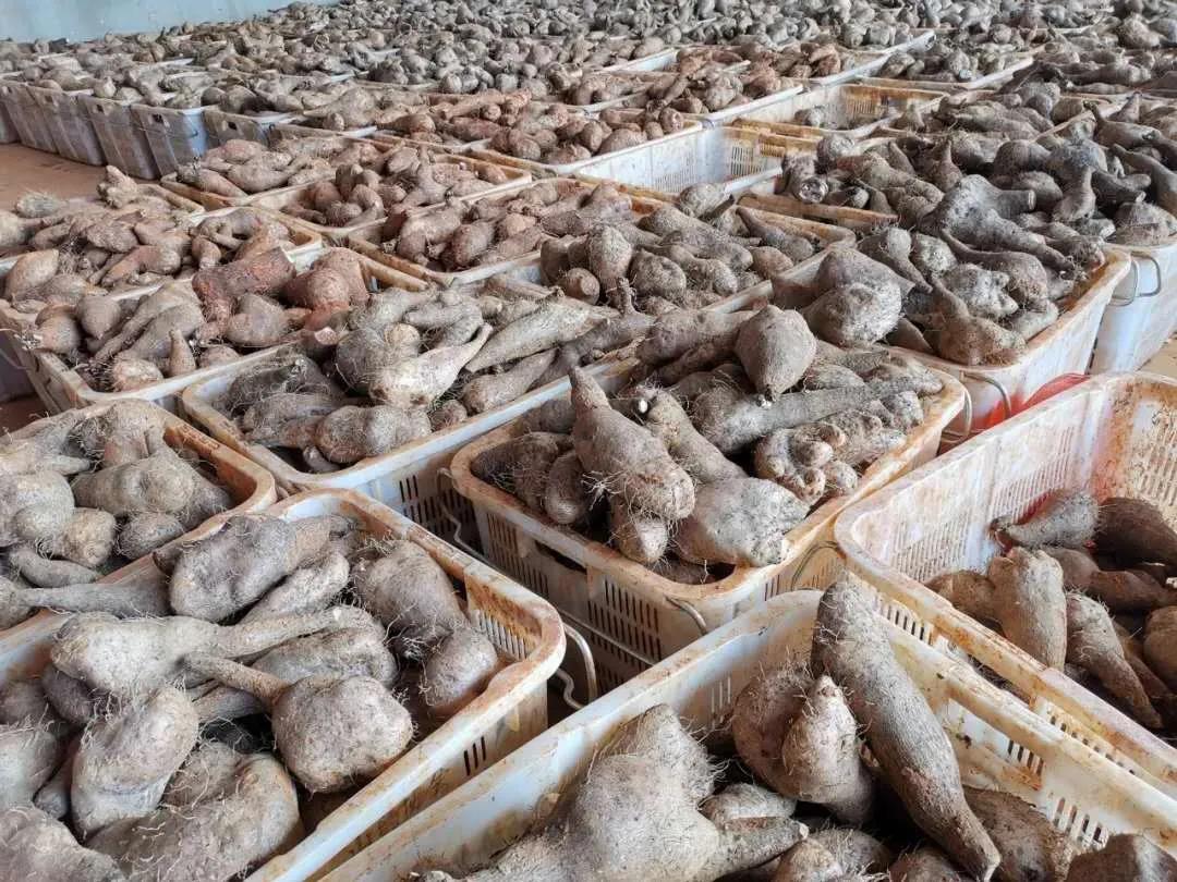 全网担保网(中国游)最具权威唯一维权担保平台