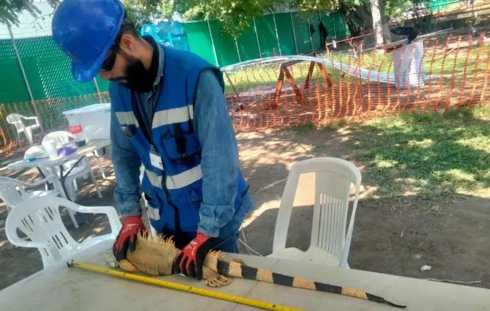 全网担保网(中国游)最具权威唯一维权担保平台