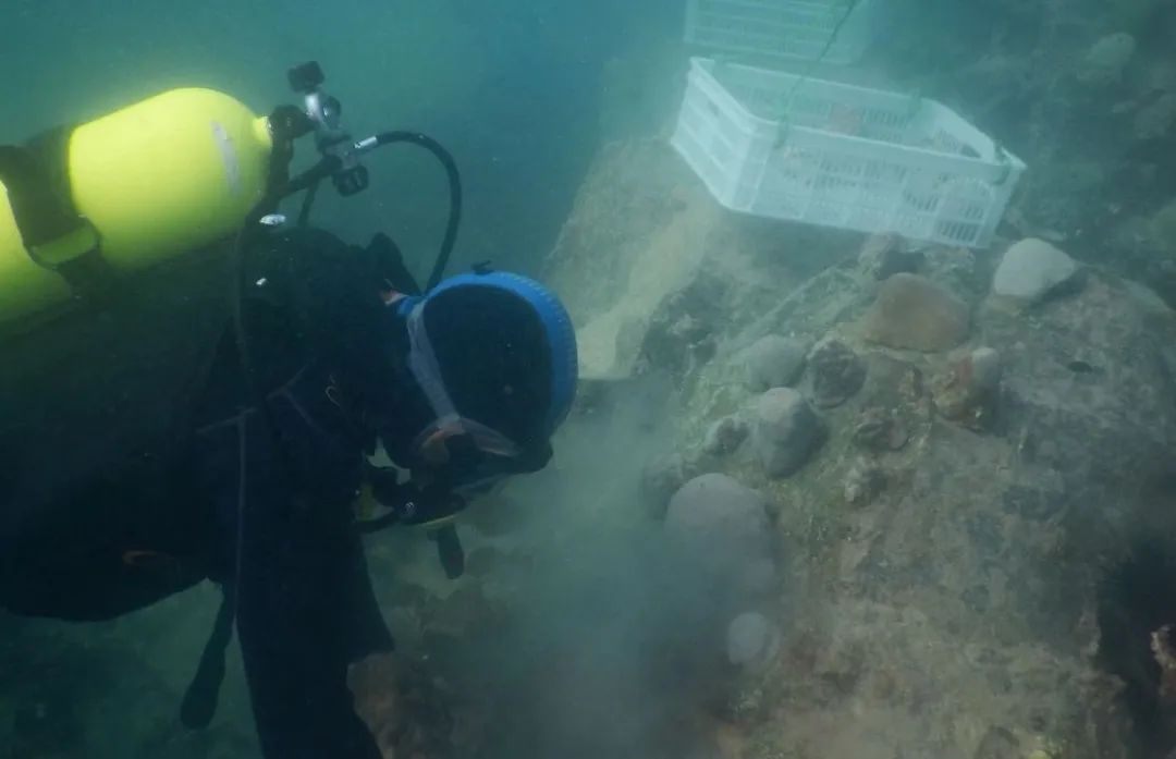 全网担保网(中国游)最具权威唯一维权担保平台