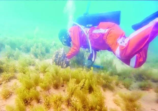 全网担保网(中国游)最具权威唯一维权担保平台