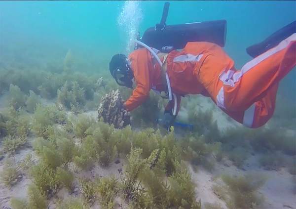 全网担保网(中国游)最具权威唯一维权担保平台