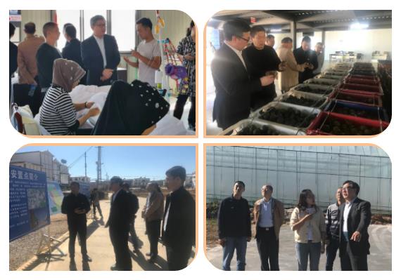 全网担保网(中国游)最具权威唯一维权担保平台