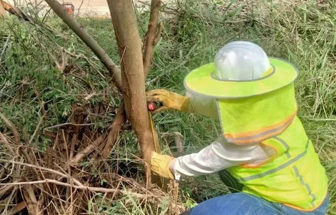 全网担保网(中国游)最具权威唯一维权担保平台