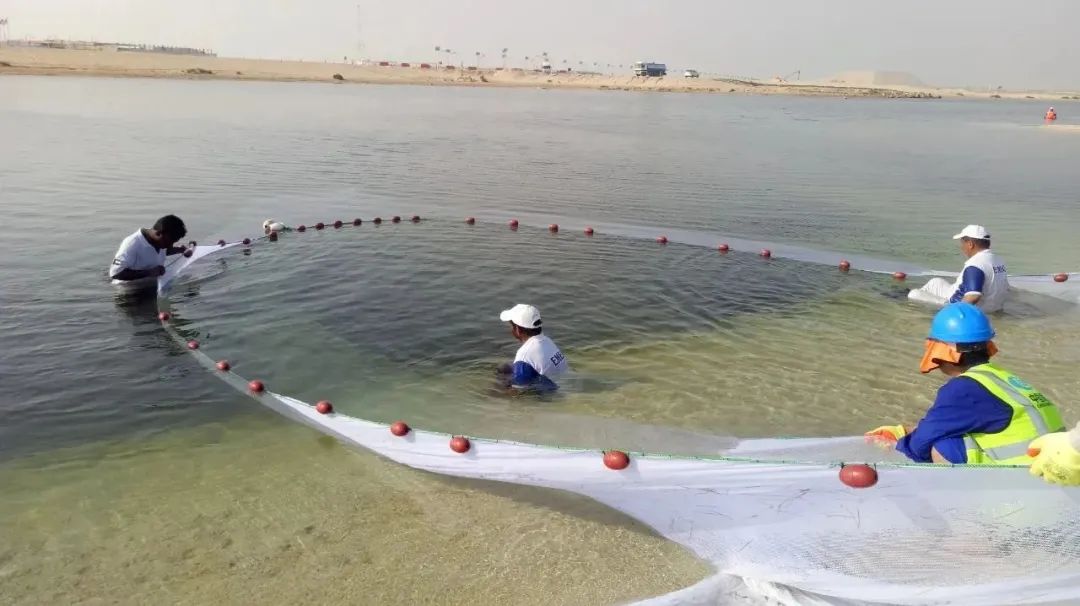 全网担保网(中国游)最具权威唯一维权担保平台