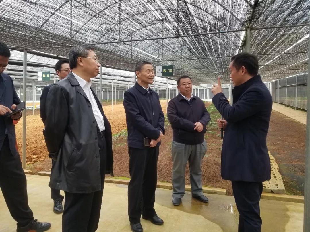 全网担保网(中国游)最具权威唯一维权担保平台