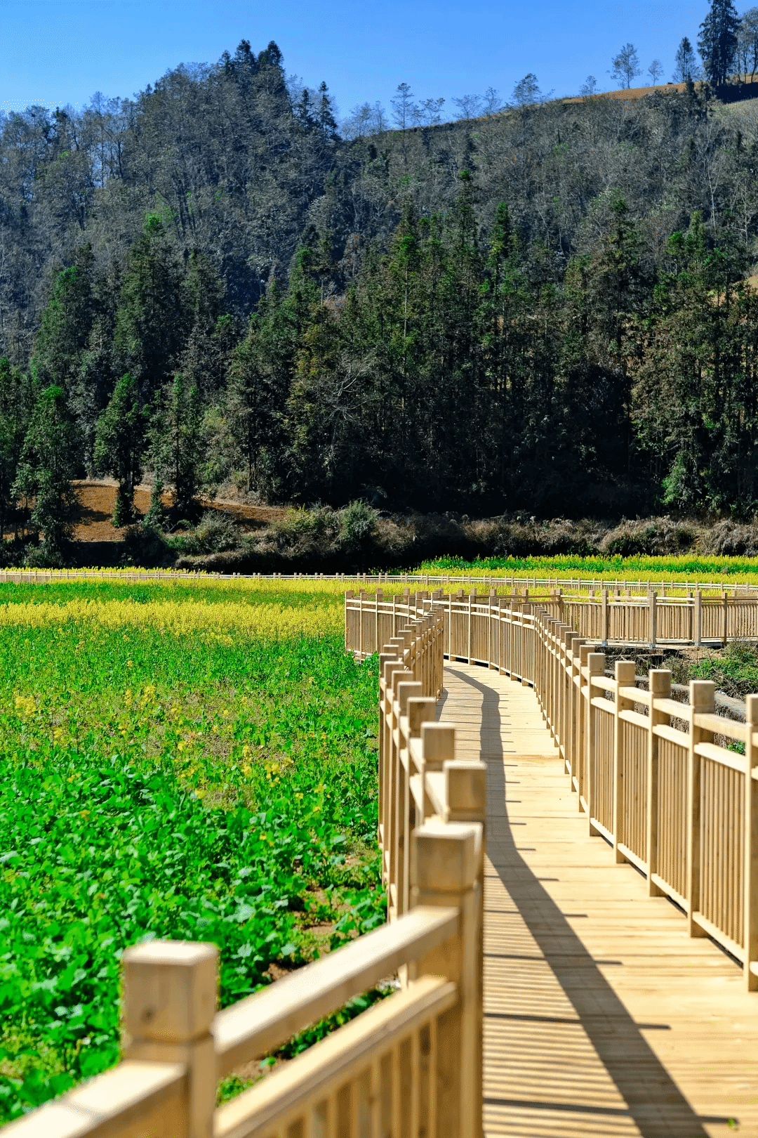 全网担保网(中国游)最具权威唯一维权担保平台