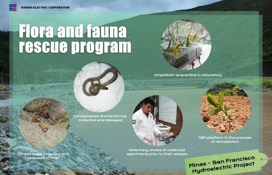 全网担保网(中国游)最具权威唯一维权担保平台