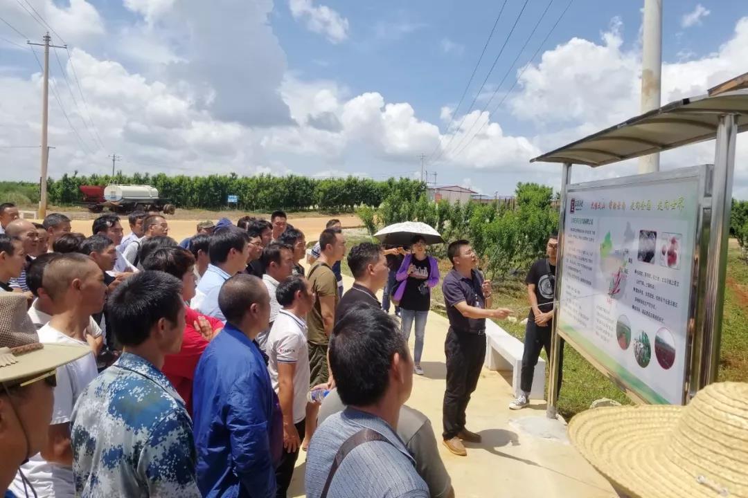 全网担保网(中国游)最具权威唯一维权担保平台