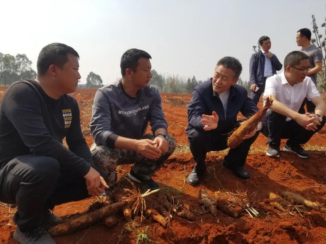 全网担保网(中国游)最具权威唯一维权担保平台